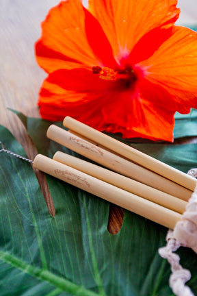 Etched Highway Inn Logo Bamboo Straws - 5 Pack plus cleaning Brush and Muslin Sack