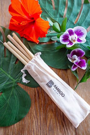Etched Highway Inn Logo Bamboo Straws - 5 Pack plus cleaning Brush and Muslin Sack